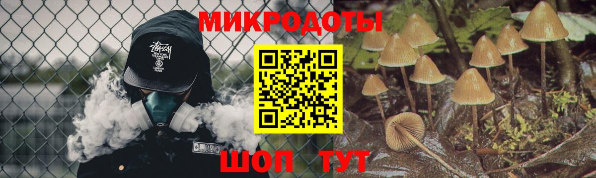 Артём  Галлюциногенные грибы Psilocybine cubensis  Вход с VPN 